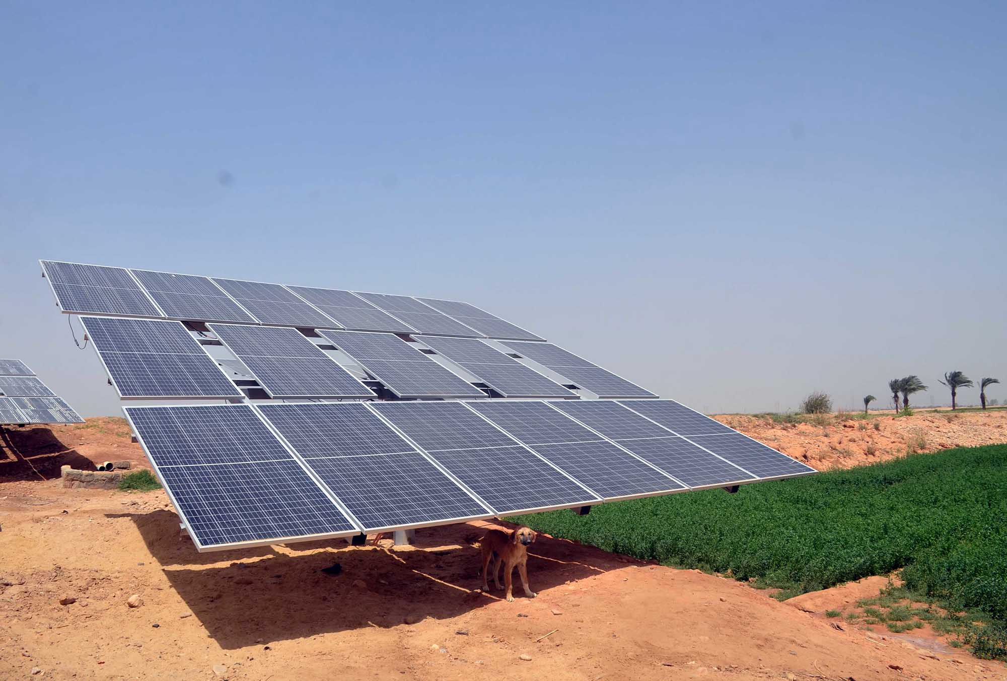Solar energy project in Egypt - Photo - Orient XXI