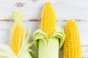 How we grow sweet corn with less water and same taste?<br><span  style=' color: grey; text-align: right;'>New approach helps growers</span>