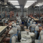US faster Slaughterhouse Line Speeds Are Increasingly a Climate Problem<br><span  style=' color: grey; text-align: right;'>Additional 95.4 billion liters of water used a year</span>
