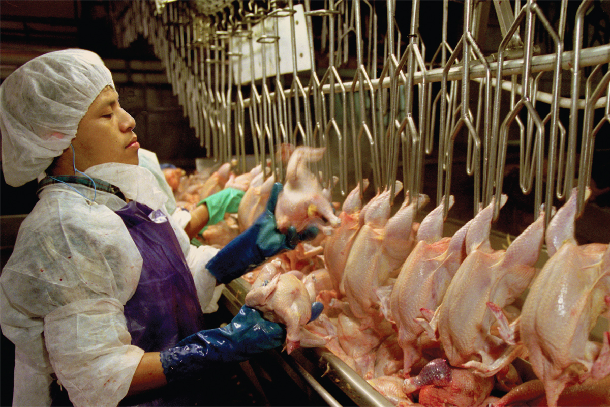 slaughterhouse workers -Photo - Civil Eats