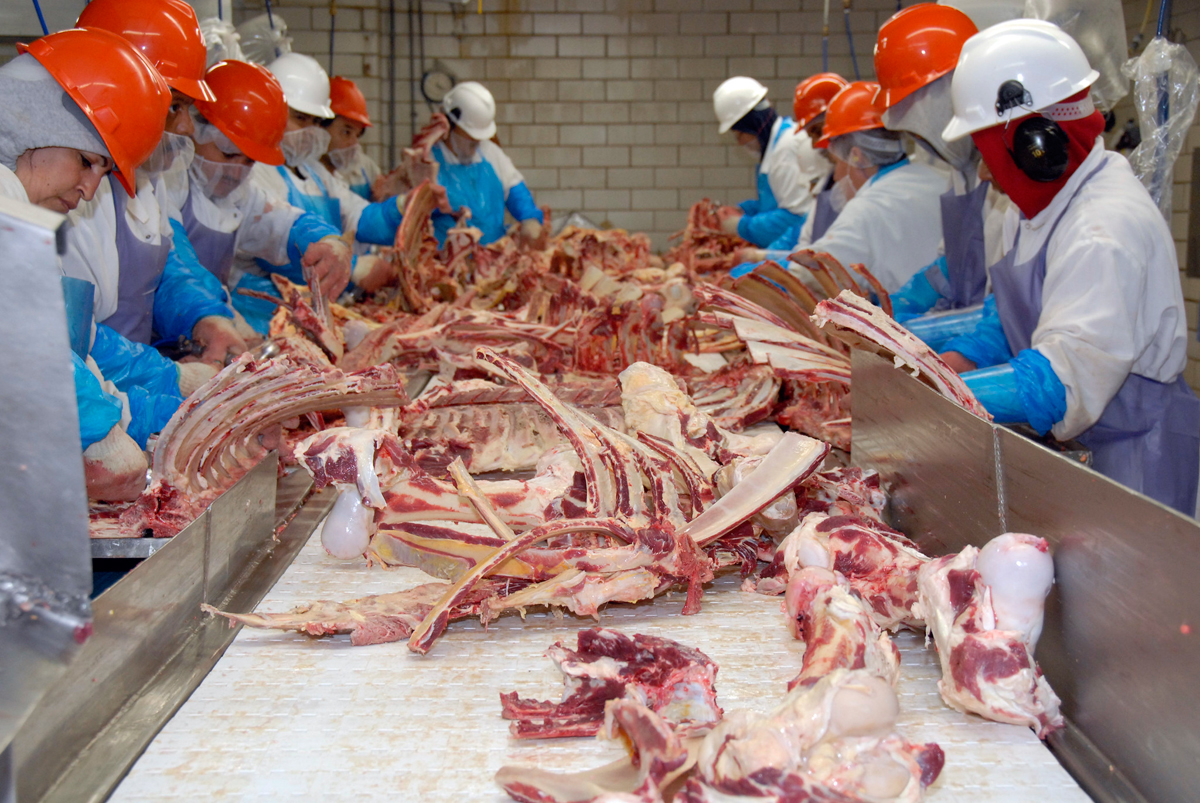 Expected increase in poultry production – Photo - Civil Eats