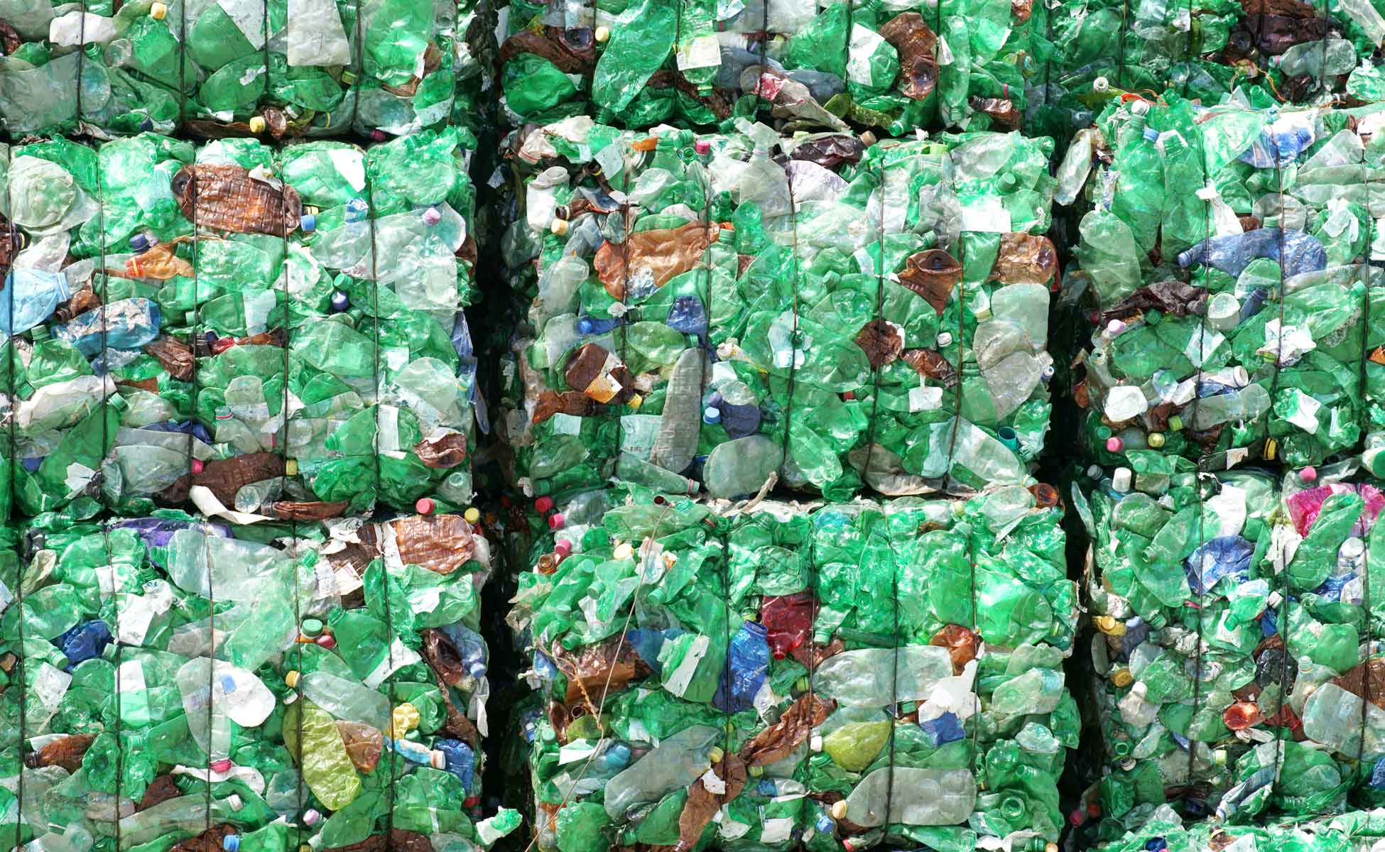 Plastic waste.jpg