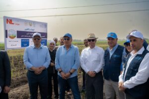 Irrigation efficiency improvement project reduces water consumption in Egypt by 30%<br><span  style=' color: grey; text-align: right;'>Includes a solar-powered pumping station with drip irrigation for sugarcane cultivation</span>