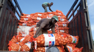 Agri-SMEs in Africa funding access become more selective<br><span  style=' color: grey; text-align: right;'>Low funds investment to local currencies exposes them to exchange rate fluctuations</span>