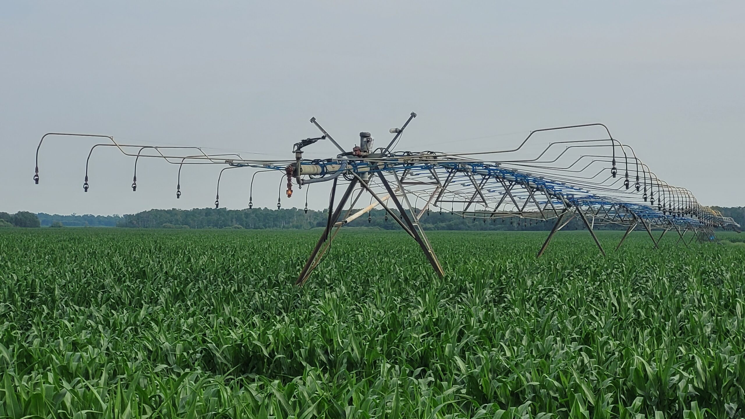 Photo - Rain Irrigation