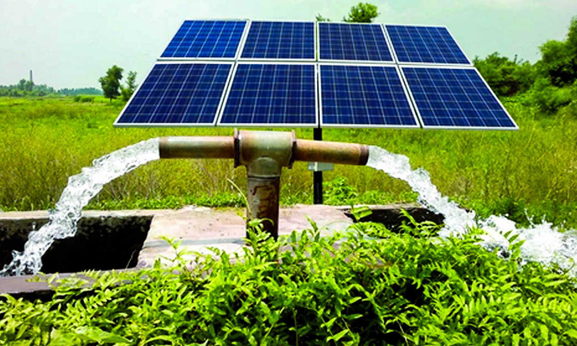Solar-power for irrigation - Photo - Zien Energy