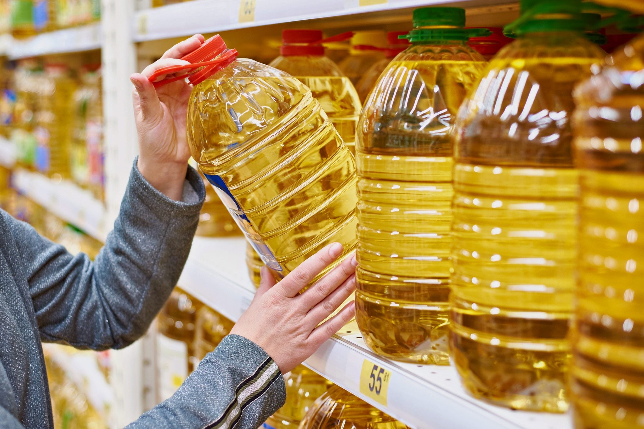 Global Food Price Index Stable in May 2026