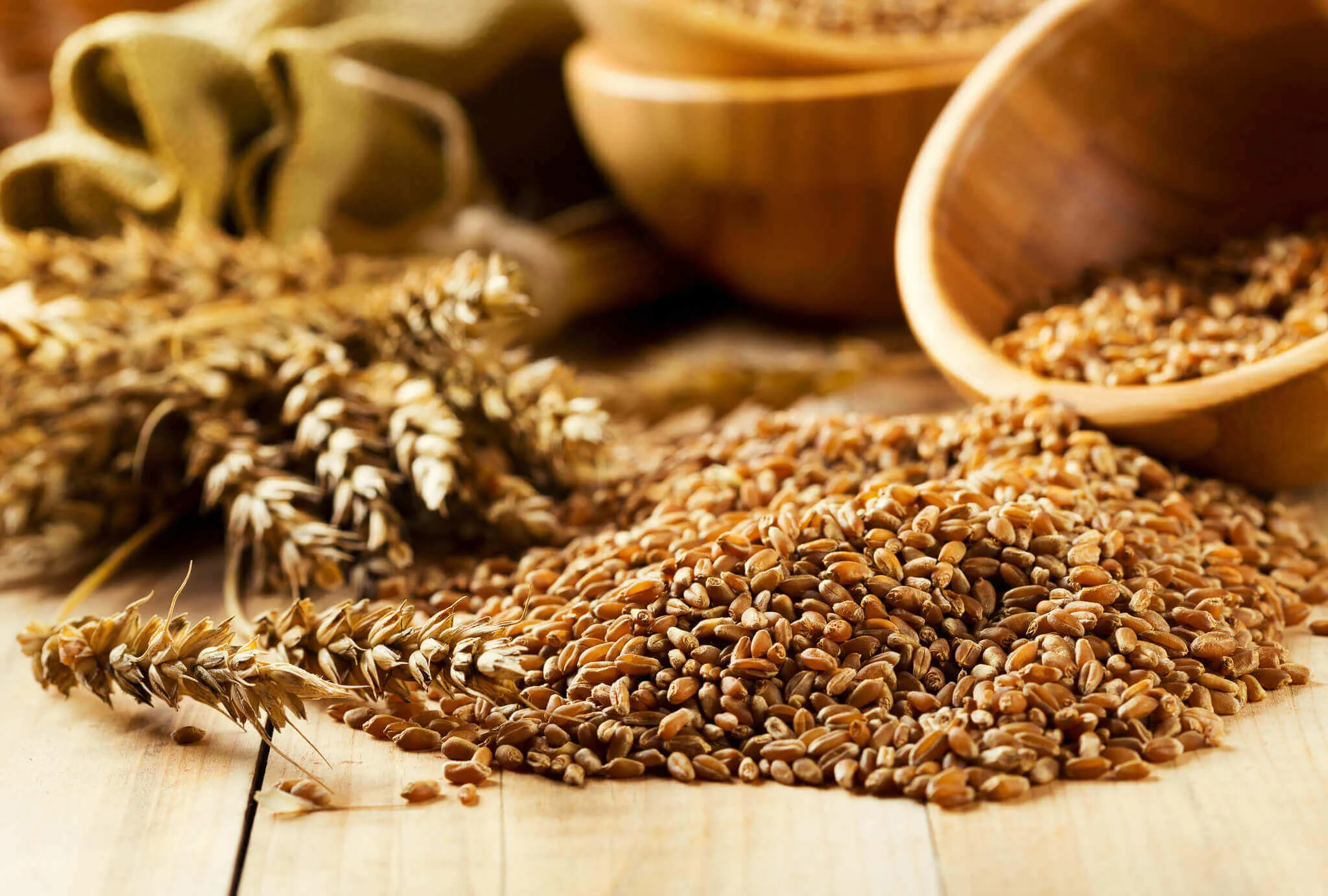 Wheat 