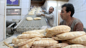 The delusion of wholemeal bread in Egypt, bakeries Profit from the AlAwadi diet mania<br><span  style=' color: grey; text-align: right;'>A government official and a nutrition expert: 3 reasons why producing this flour is impossible</span>