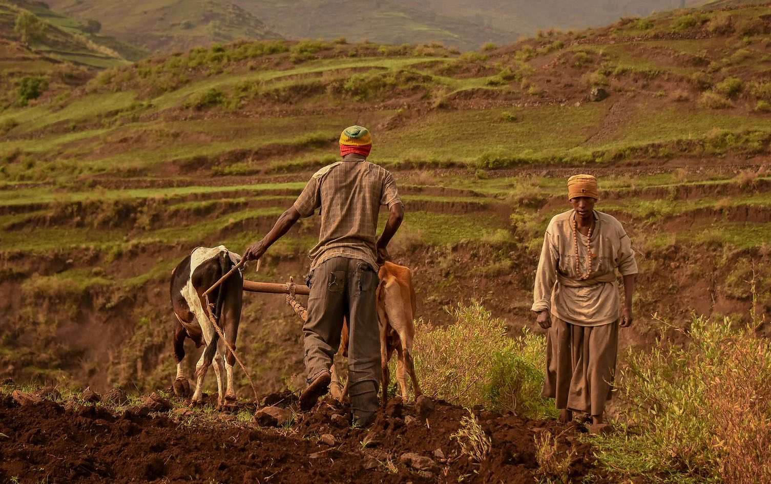 African farmers
