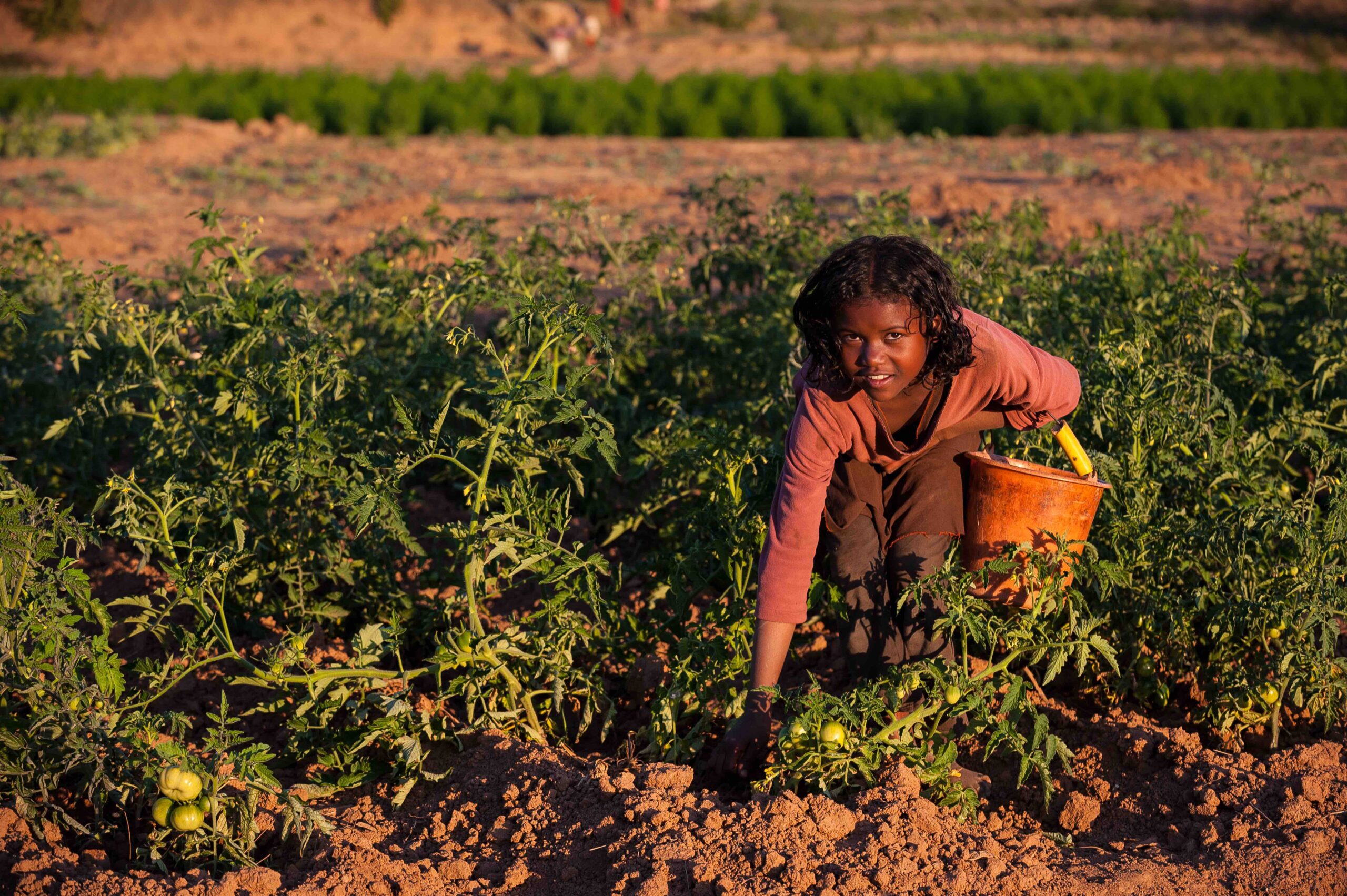 African farmer in a field - Photo - Slow Food