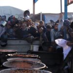 The crises of food security in Gaza persists despite fragile gains (UN Report)<br><span  style=' color: grey; text-align: right;'>Sheep inventories have increased by 33% in areas had support</span>