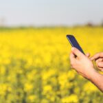 Zahra Agricultural App offers integrated digital services in Egypt (Interview)