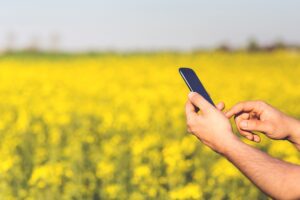 Zahra Agricultural App offers integrated digital services in Egypt (Interview)<br><span  style=' color: grey; text-align: right;'>The company's CEO: Issues proactive warnings of severe weather</span>