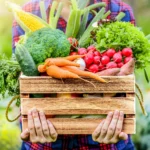 Food and agricultural trade increased fivefold but markets face growing exposure to shocks (Report)
