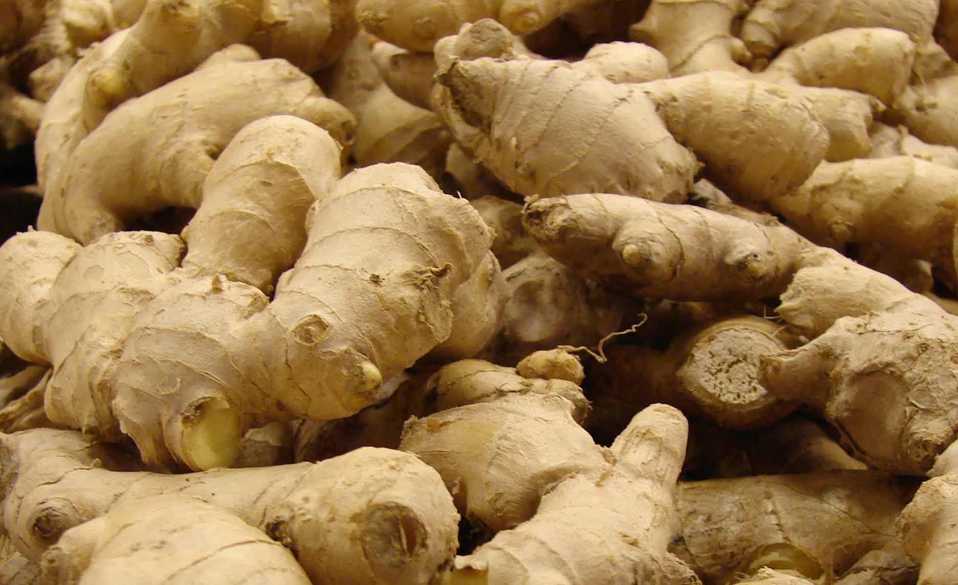 kind of the Nigerian Ginger