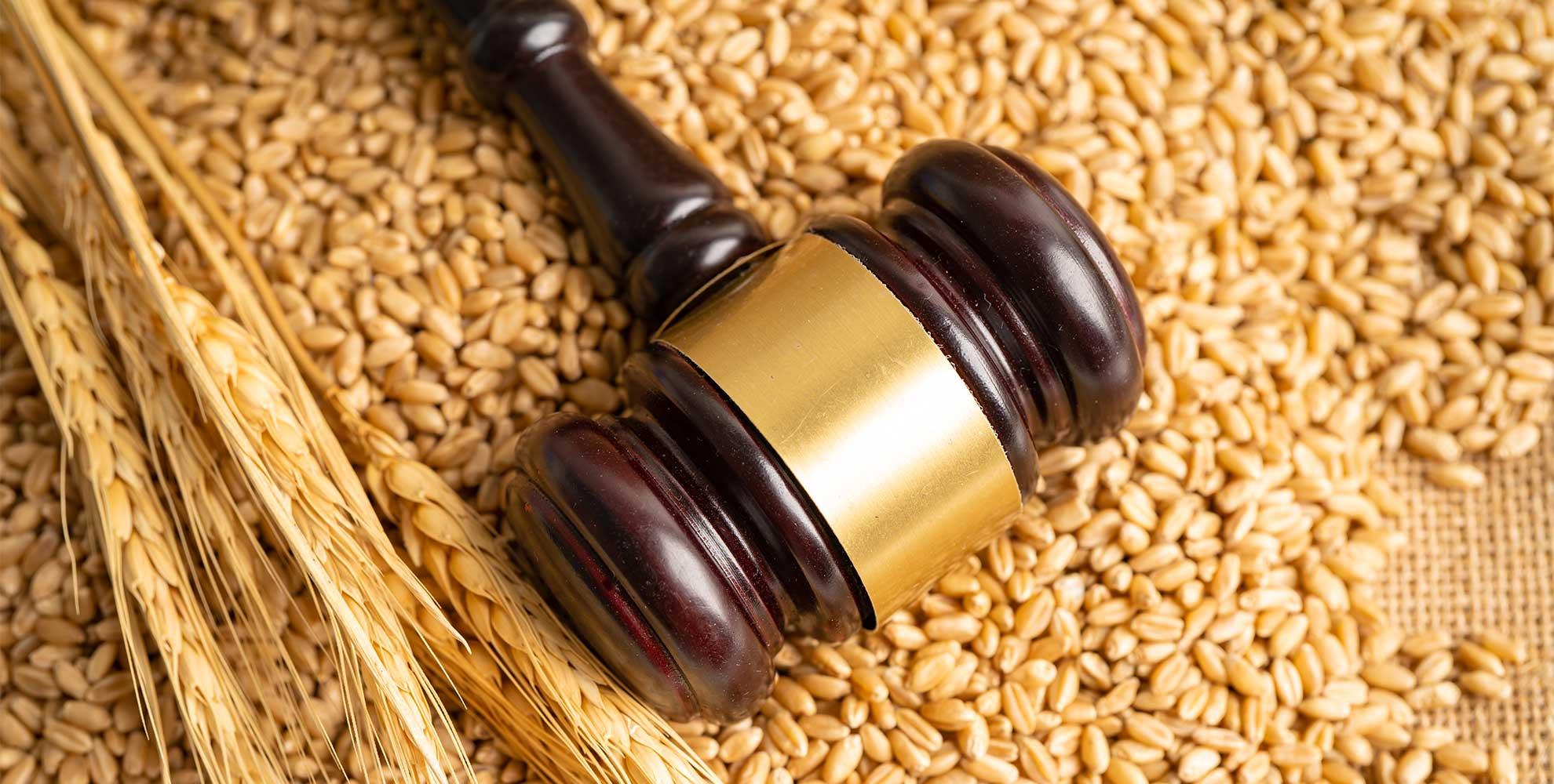 Wheat - Photo - UnLaSalle