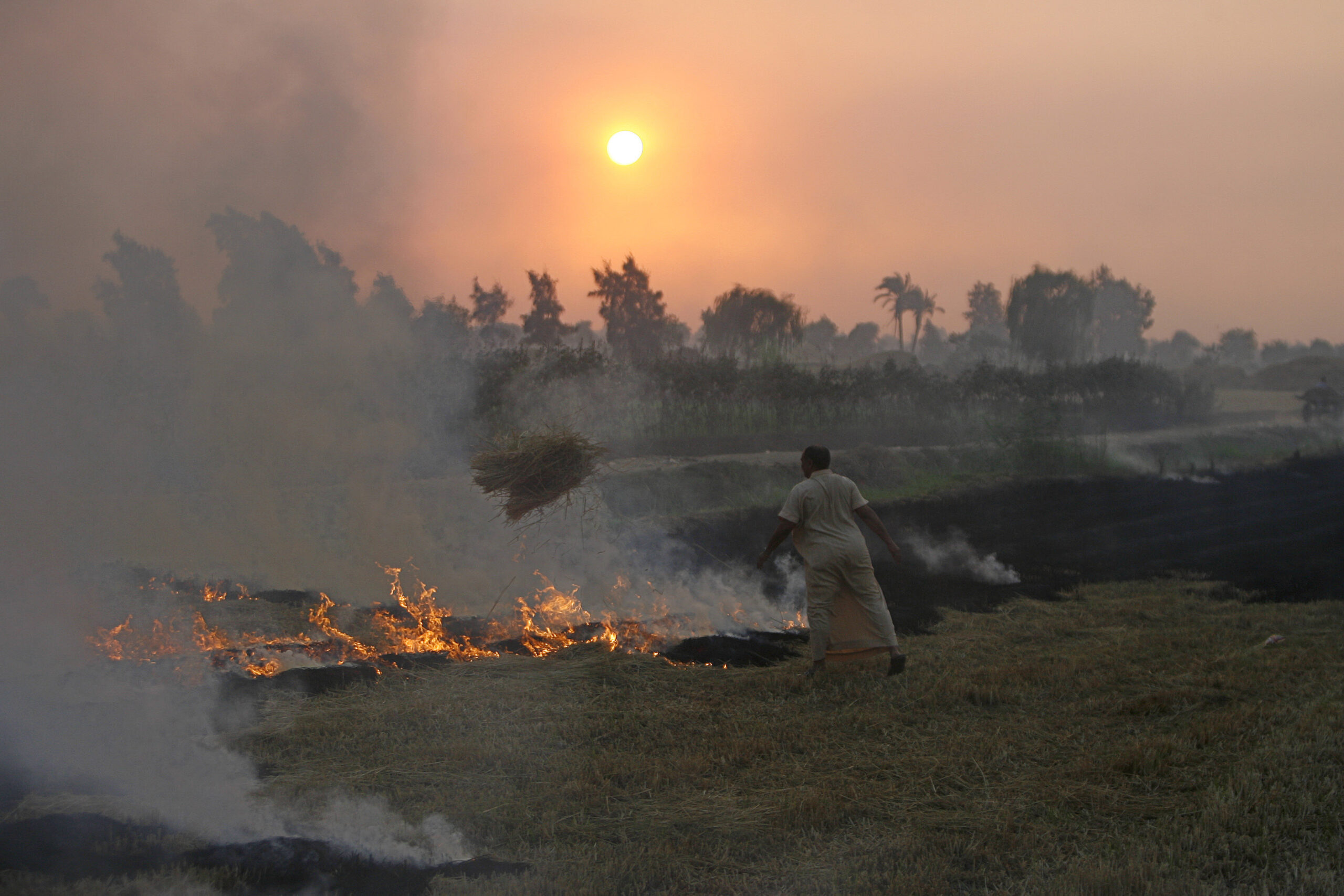 An Egyptian farmer burns the straw – Photo - AFP