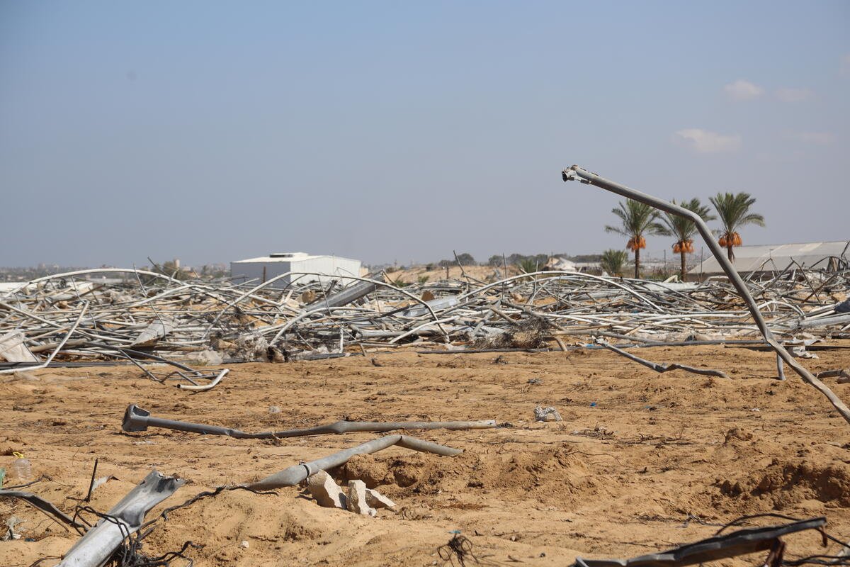 Farmland in Gaza