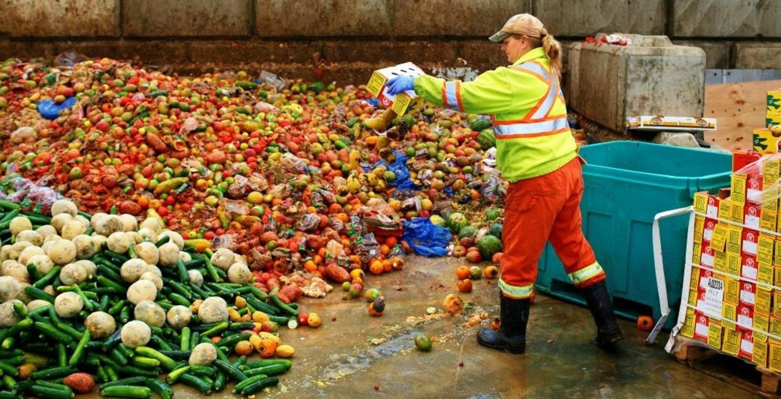 A woman dumps food waste into a landfill – Photo - Consentio