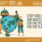 FAO: The food loss and waste happening from 1.4 hectare of land