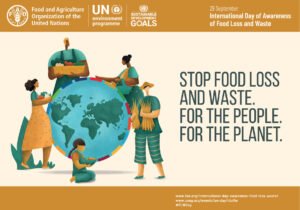 FAO: The food loss and waste happening from 1.4 hectare of land<br><span  style=' color: grey; text-align: right;'>The world loses 13.4% after harvest and 19% in retail stores</span>