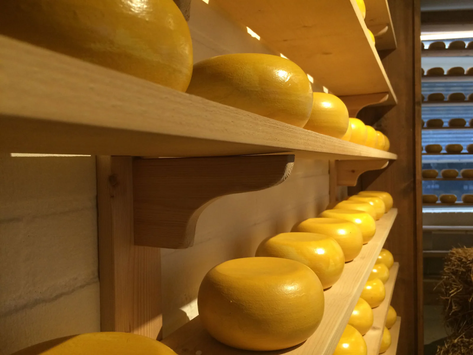 Climate change is having a clear impact on food production – Photo - Waffleline