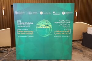 FAO and NENA countries call for stronger plant health systems<br><span  style=' color: grey; text-align: right;'>To protect food security and agricultural trade</span>