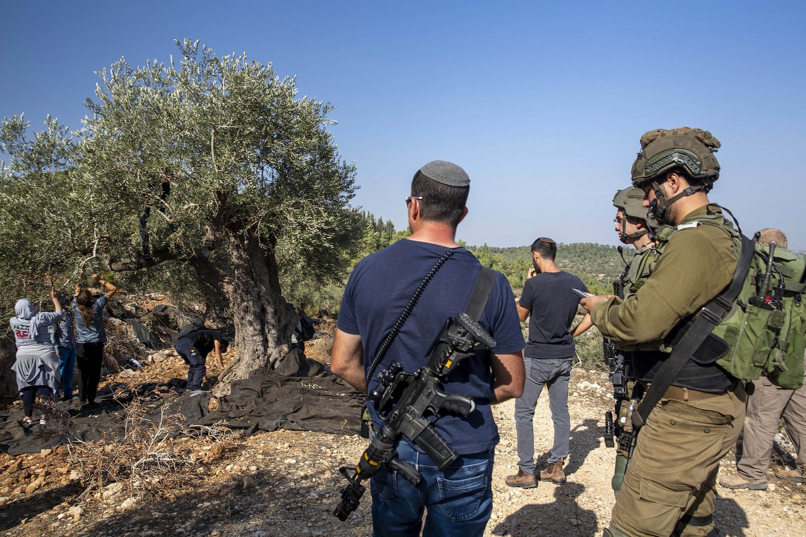 Palestinian women pick olives while Israeli soldiers stand nearby – Photo - +972 Magazine