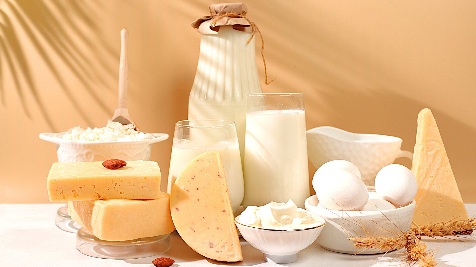 FAO Dairy Price Index down in September 2026 - Photo -Tasting table