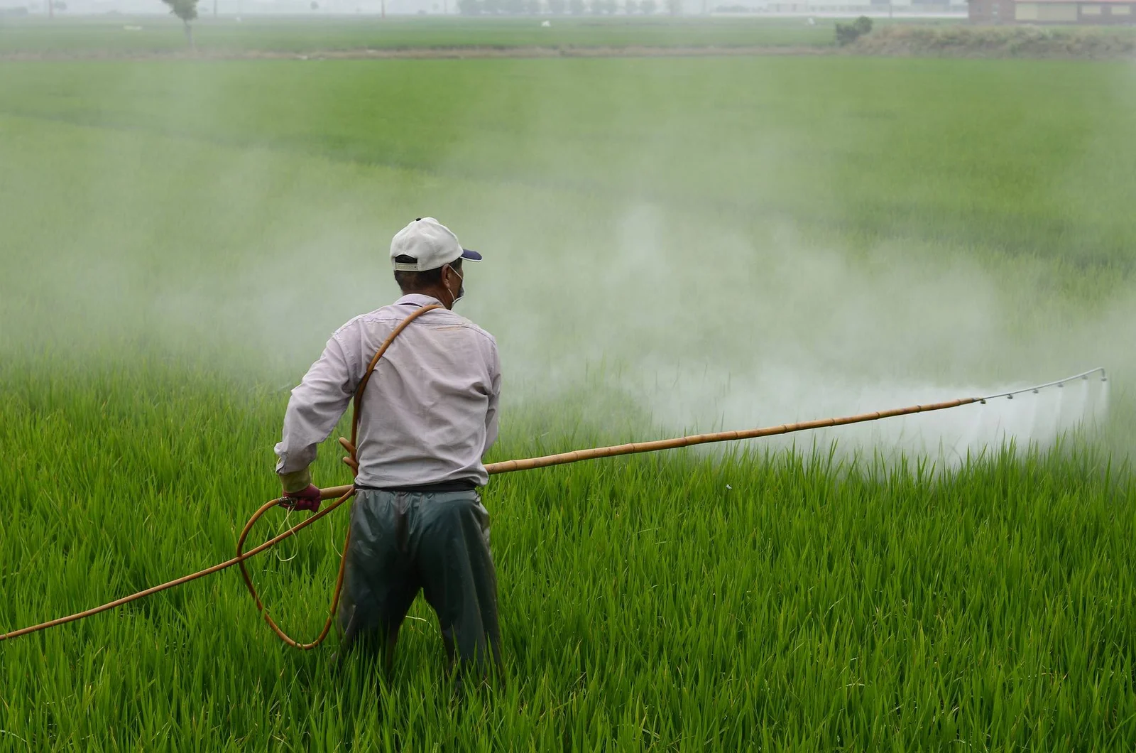 Agricultural products are transported over long distances in short periods of time, which increases the likelihood of pest spread – Photo - Young Farmer Contest